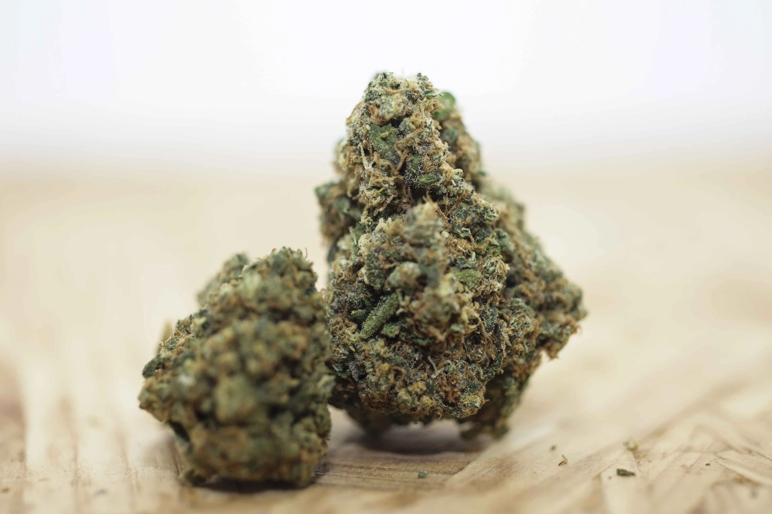 CBD PORTFOLIO - 036.JPG