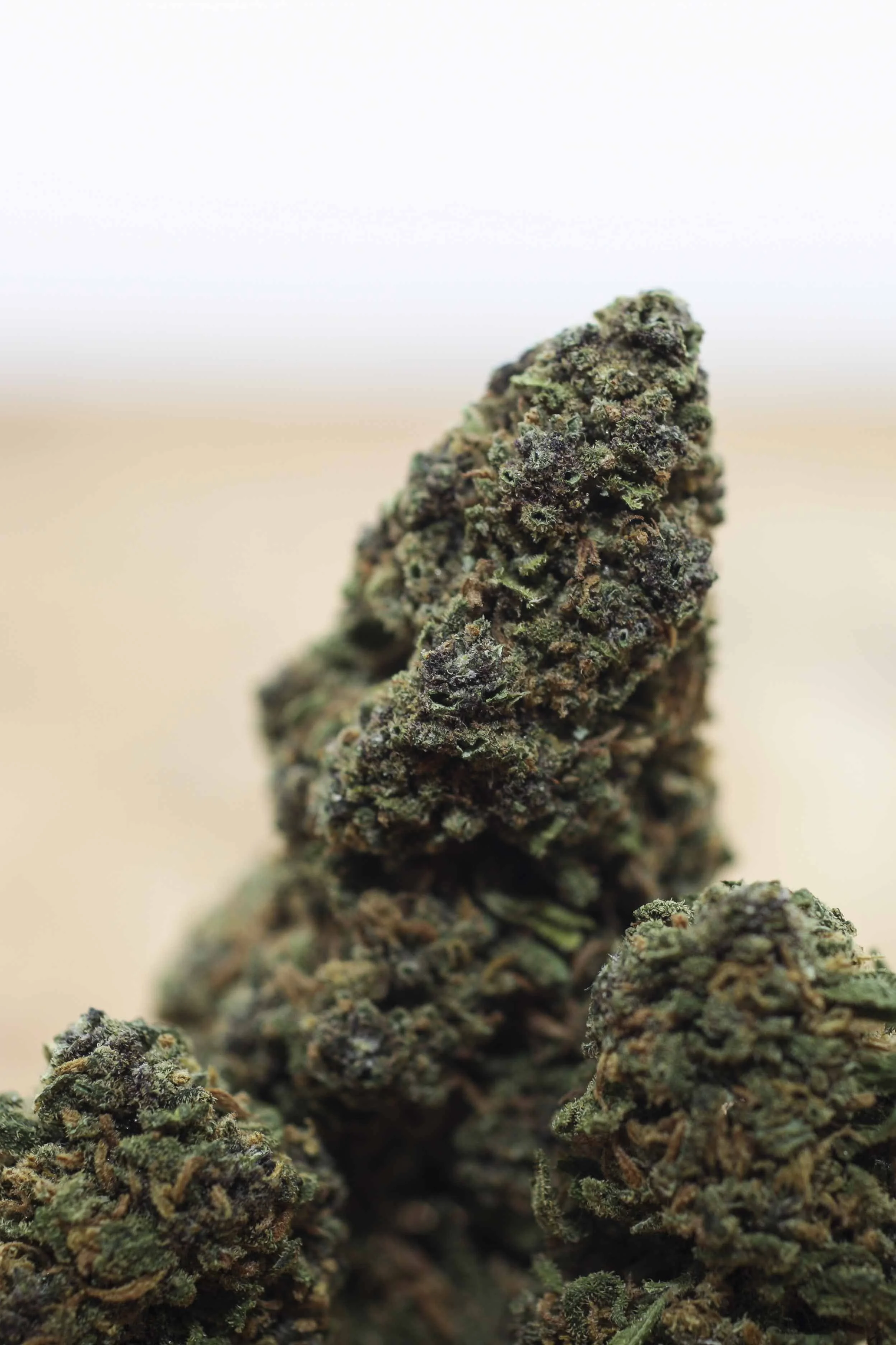 CBD PORTFOLIO - 042.JPG