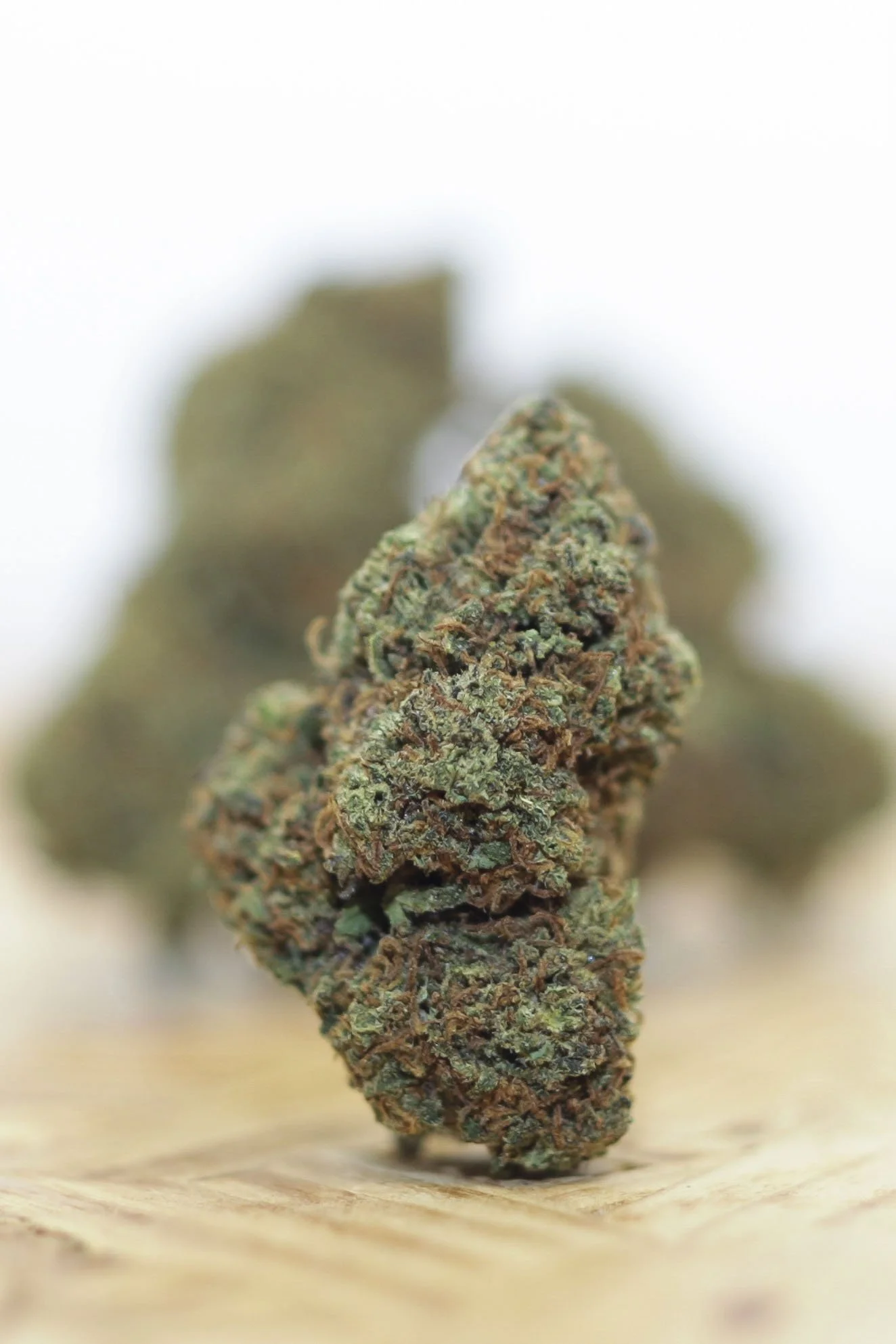 CBD PORTFOLIO - 059.JPG