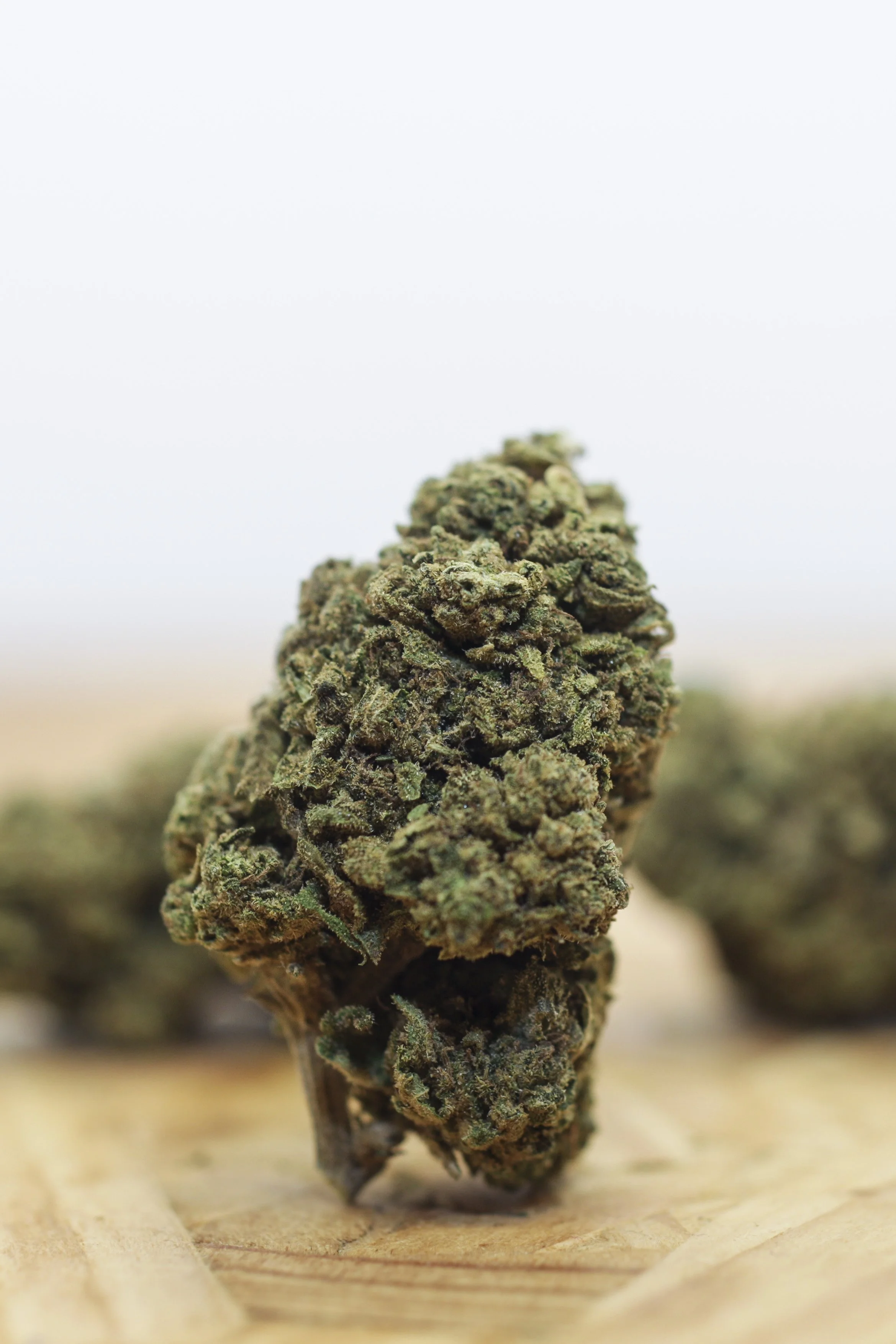 CANNATONIC Insta - 009.JPG