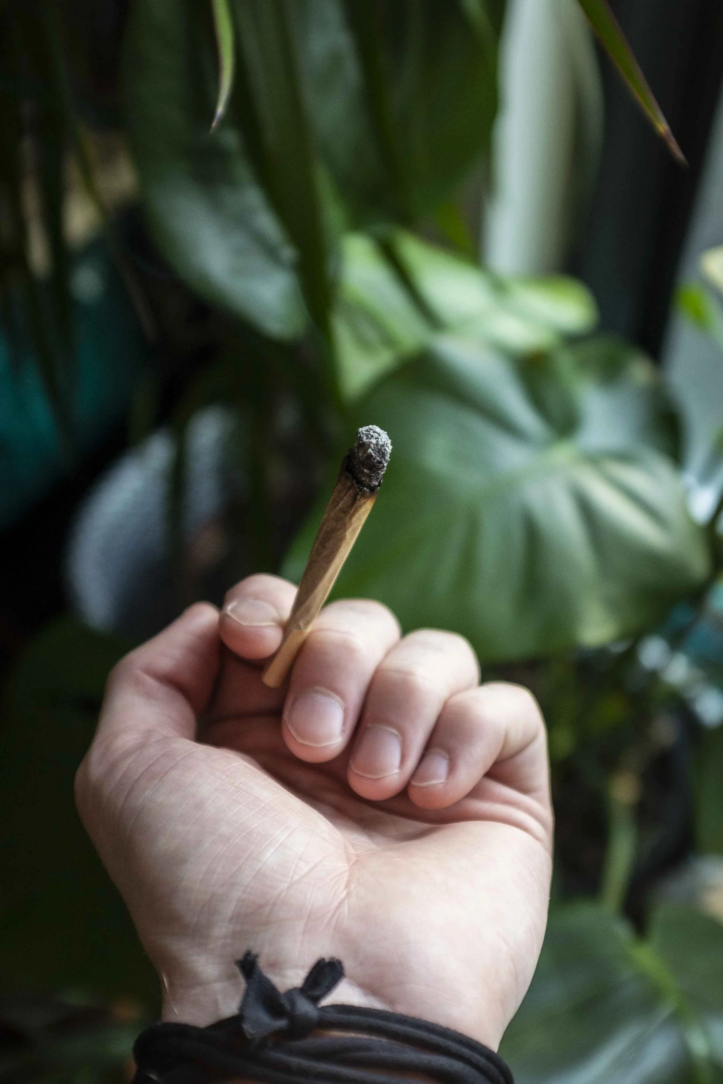 CBD PORTFOLIO - 071.JPG