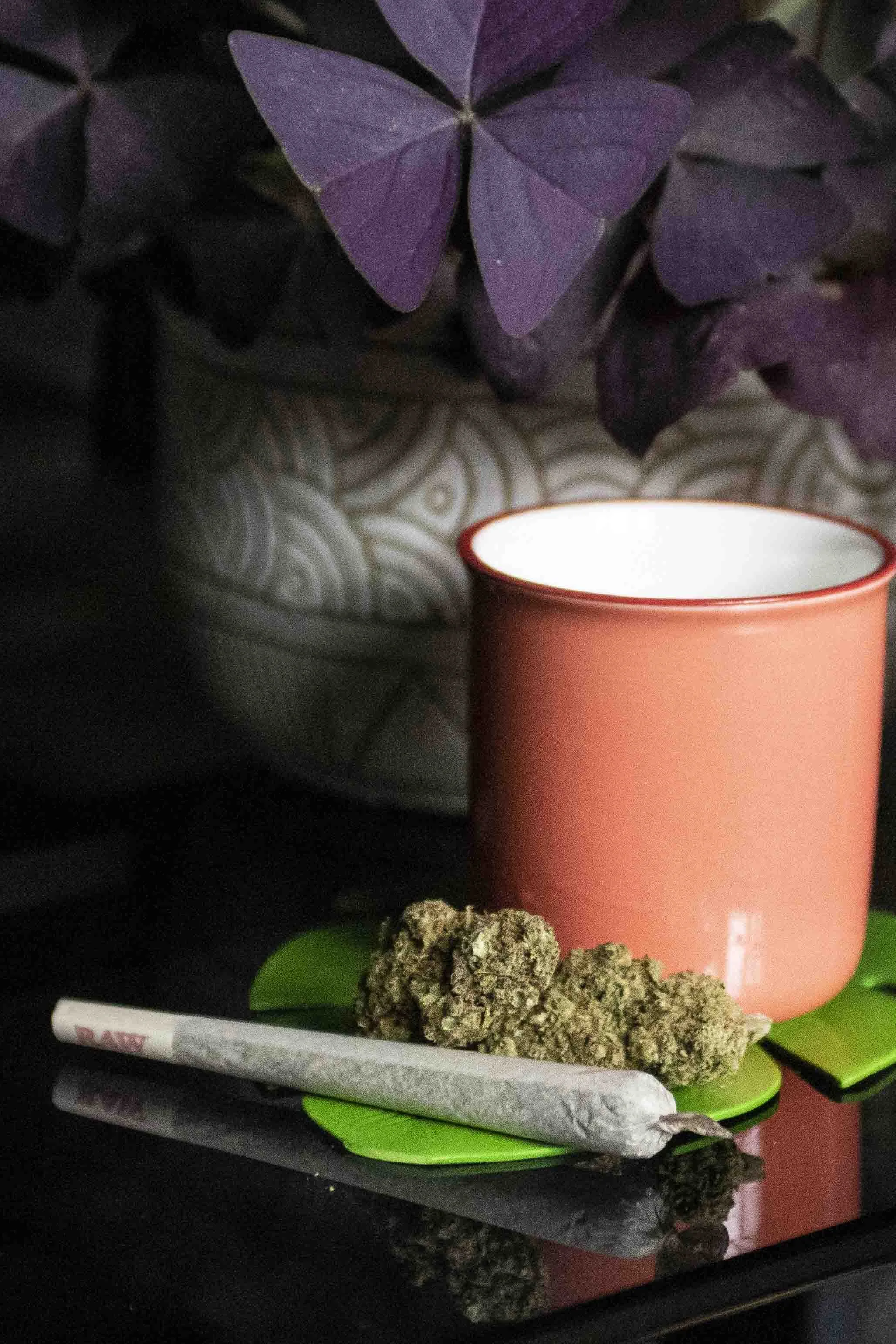 CBD PORTFOLIO - 074.JPG