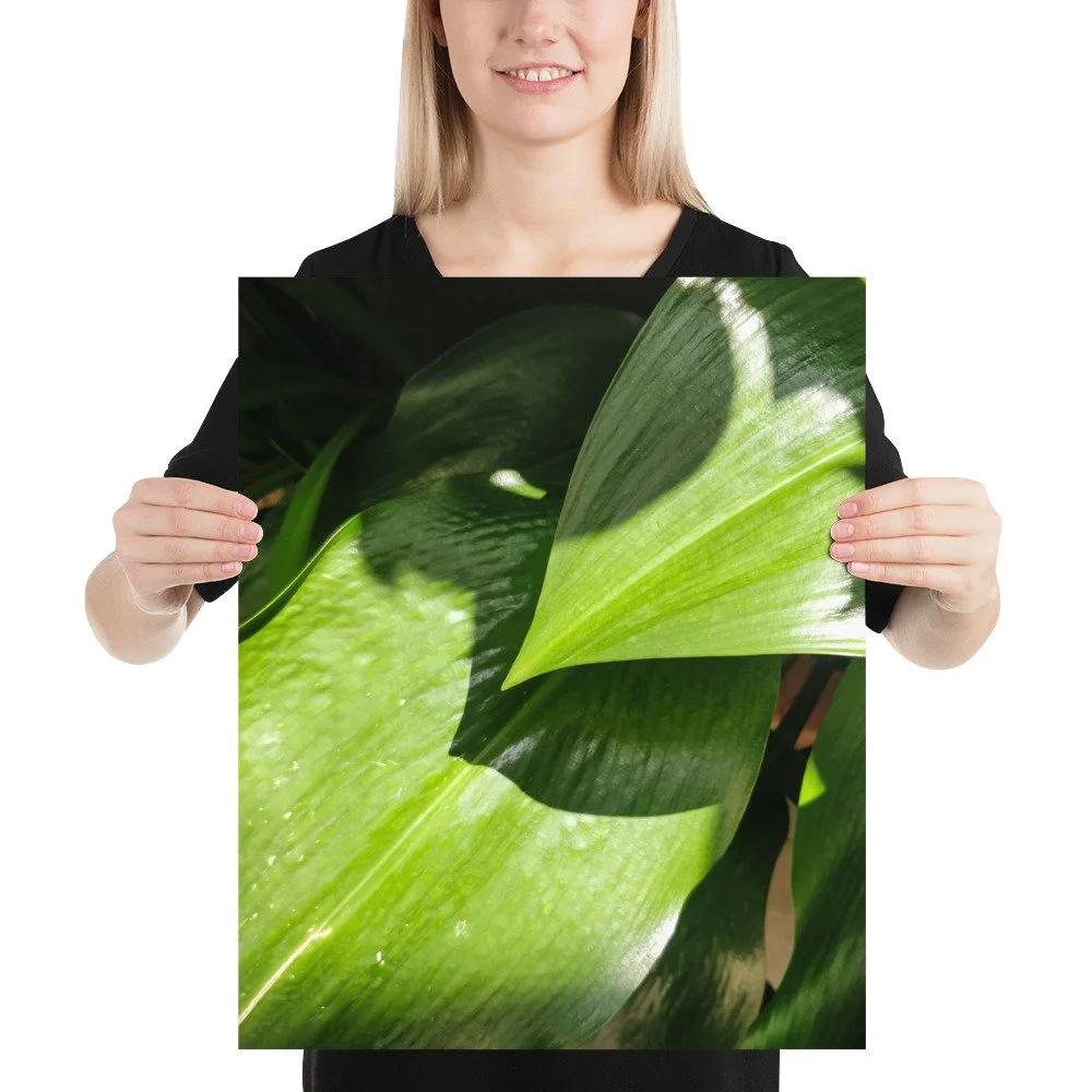 enhanced-matte-paper-poster-(in)-16x20-person-6527f2ea4a3a6.jpg