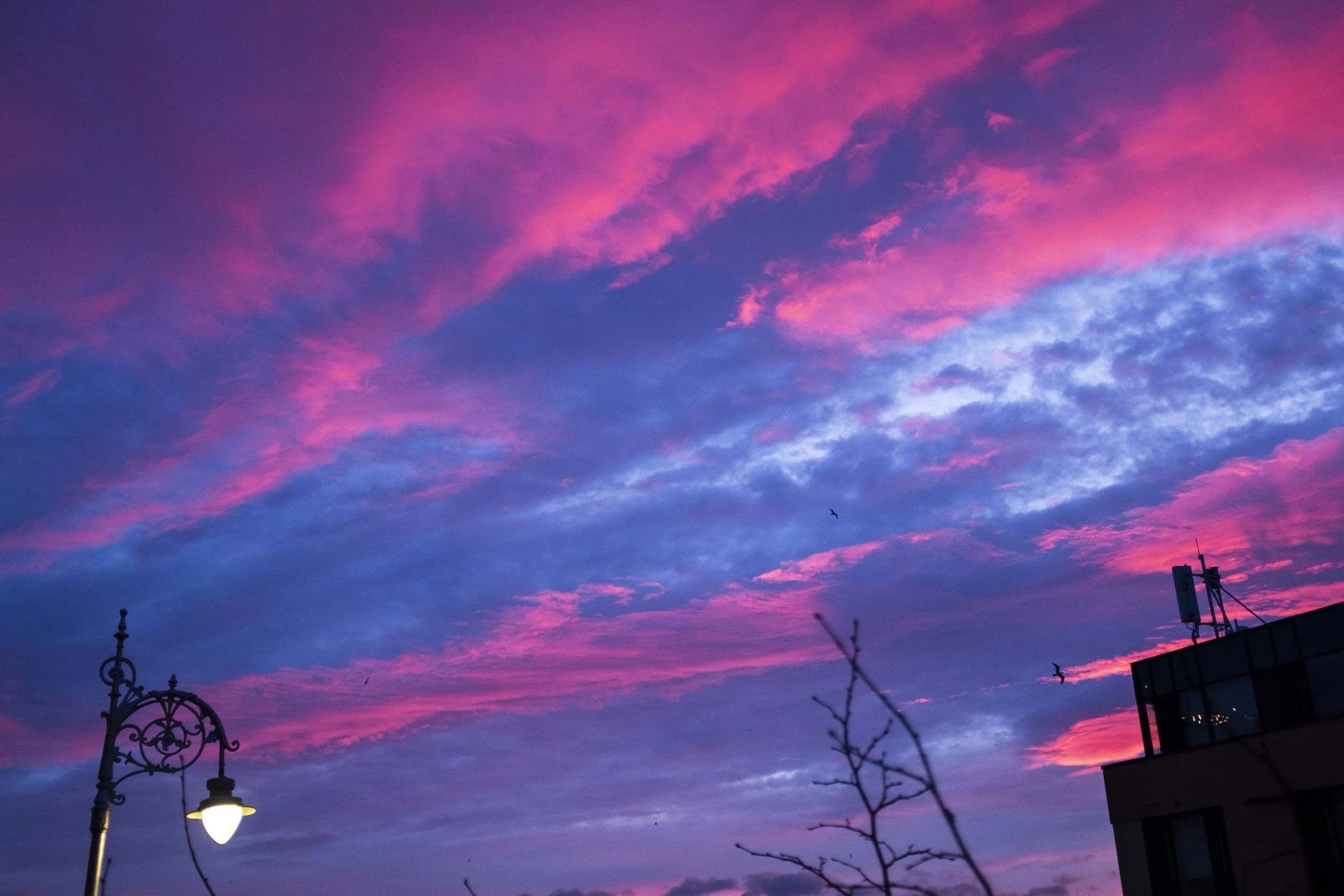 January Sunrise '24