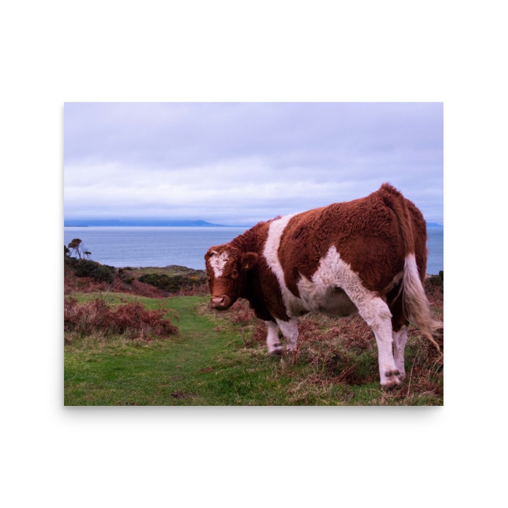 enhanced-matte-paper-poster-(in)-16x20-front-677e8f43a02d0.jpg