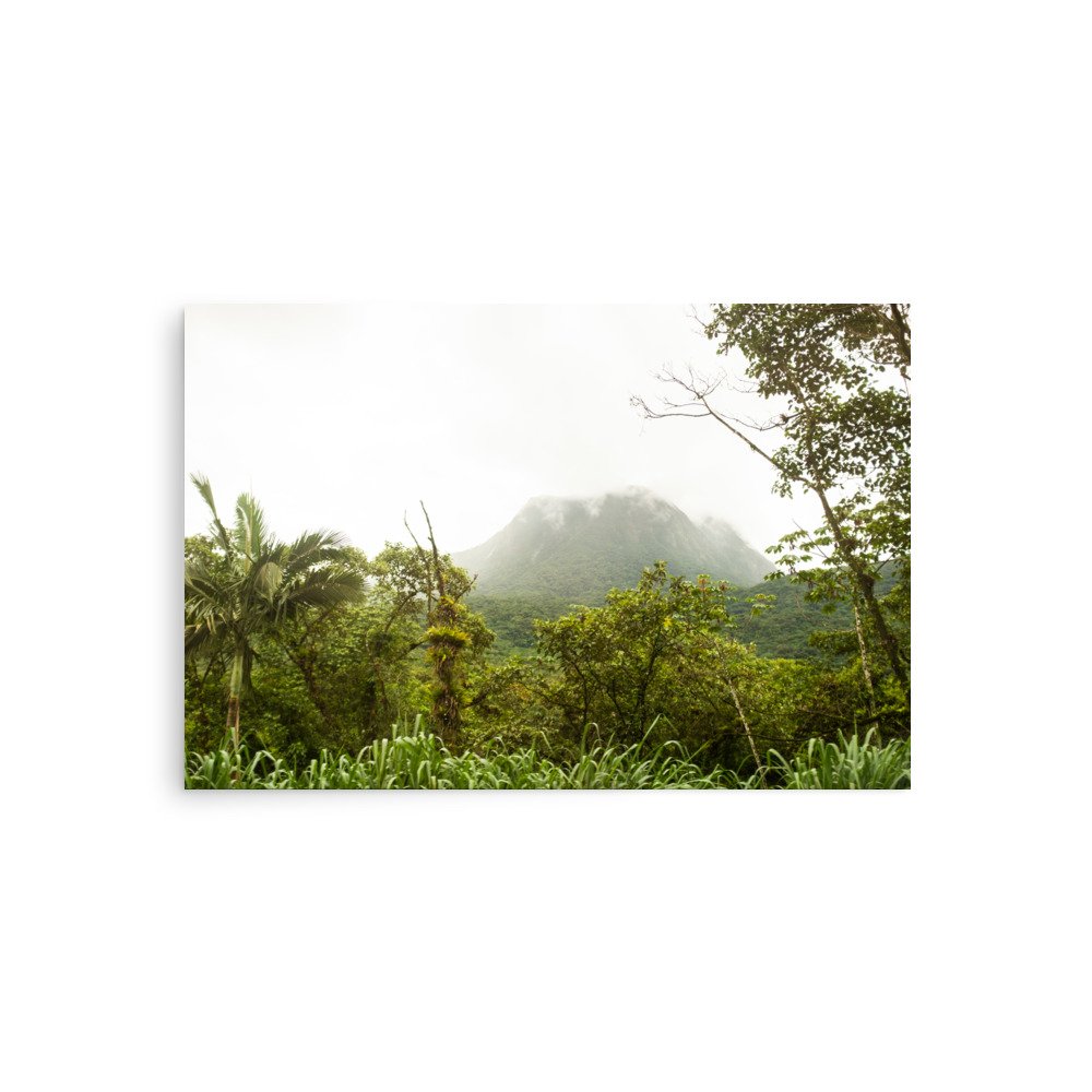 enhanced-matte-paper-poster-(in)-20x30-front-6791569e09208.jpg