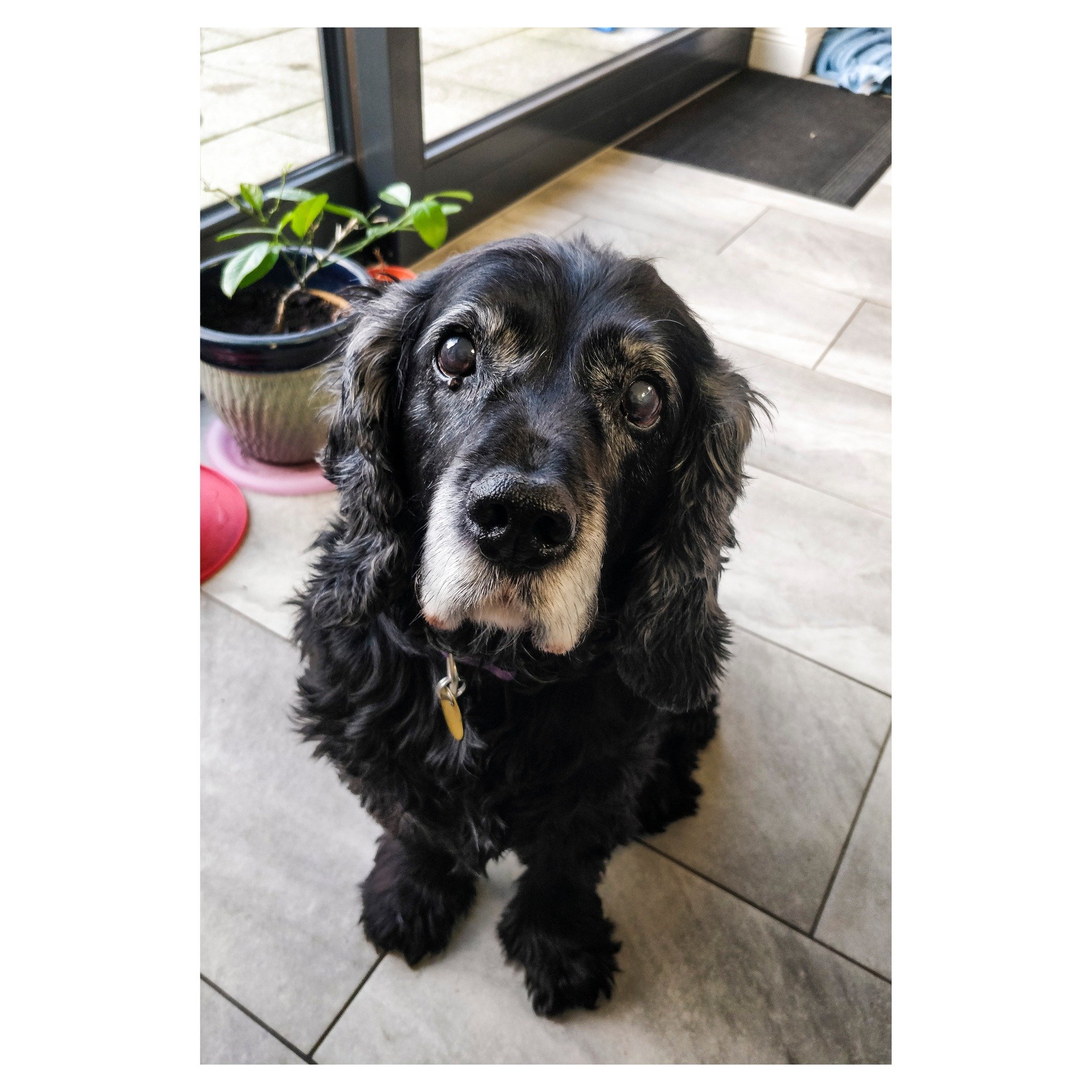 treats?