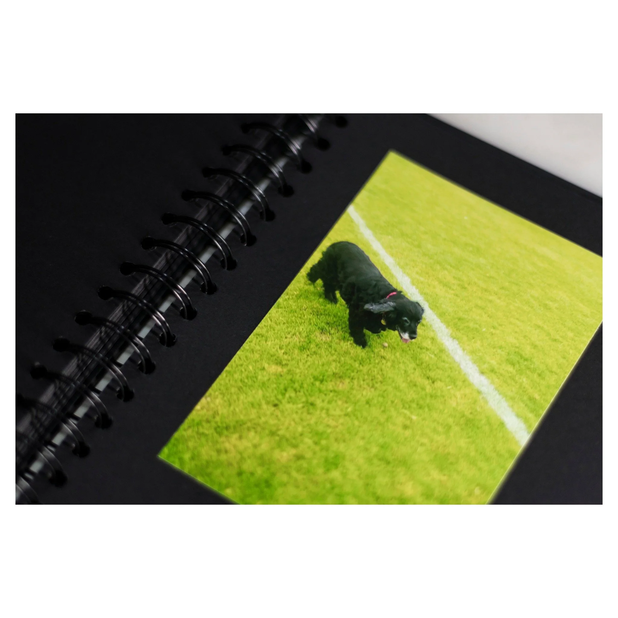 &bull; C&Aacute;IRDE &bull;

i kinda overshadowed myself at the initial C&Aacute;IRDE event in Flux, so i'm re-exhibiting my photobook at C&Aacute;IRDE Vol II. 

a selection of photos from over the last 10 years, arranged in a black photo album. come