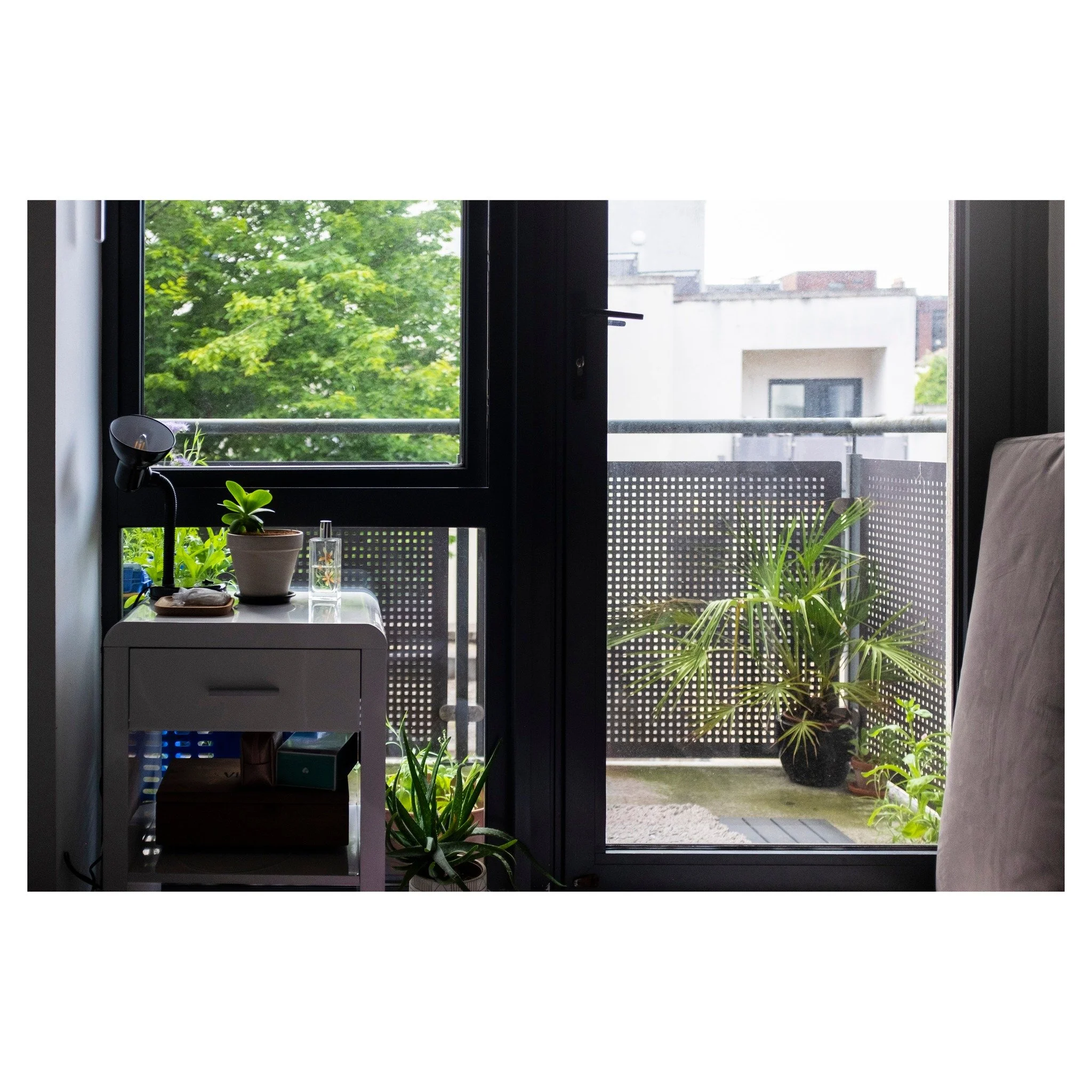 21.06.25

#dublin #ireland #fujifilm #fujix100t #fuji