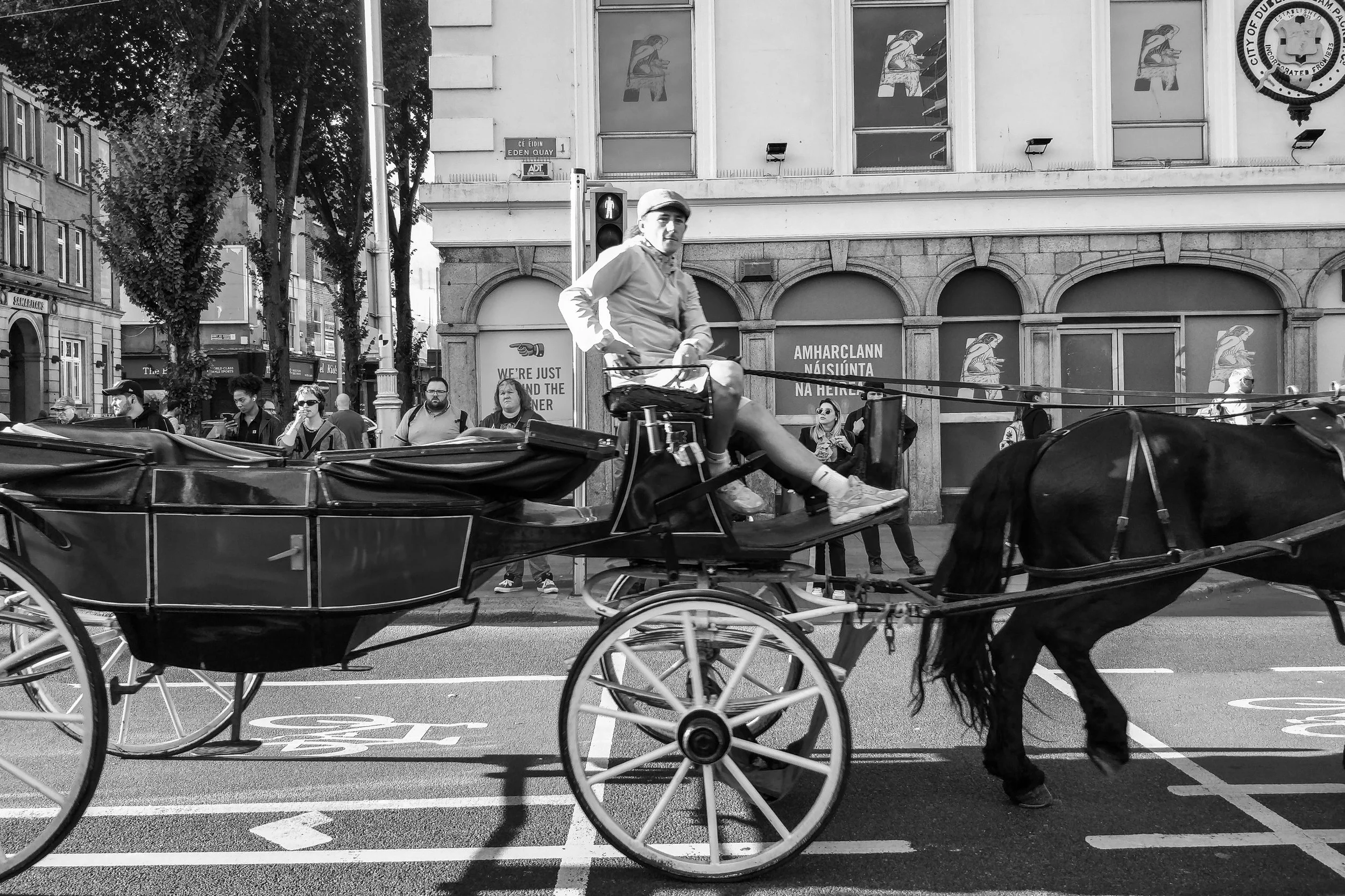 Horse & Carriage, Dublin 2024