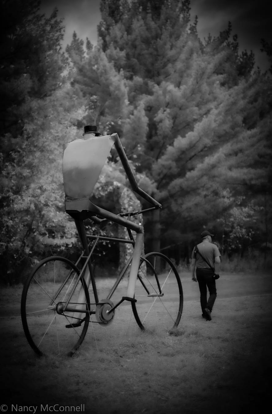 Giant Bike Stalker (1 of 1).jpg