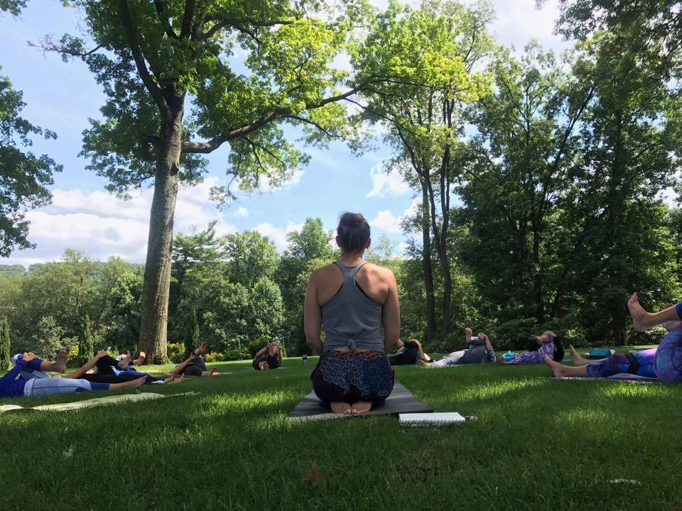 yoga canopy.jpg