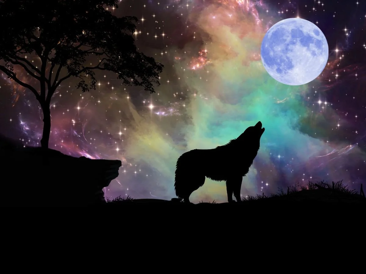 Full Wolf Moon Cacao Journey &amp; Meditation with Melanie Jay 