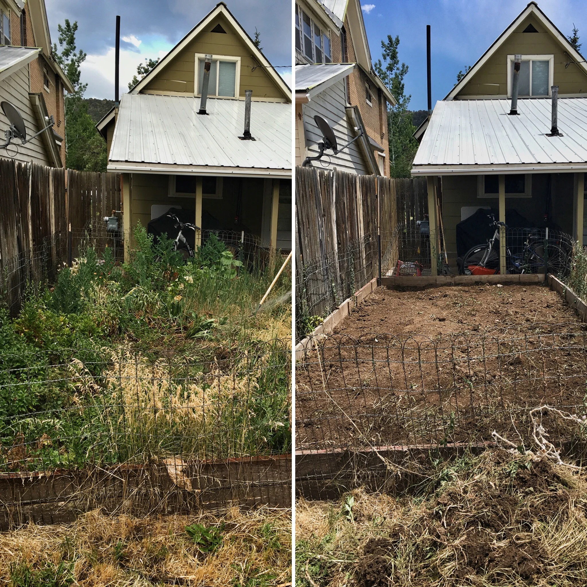 Before and after.: removing weeds from the garden plot. A labor of love people, this took a loooooooong time.