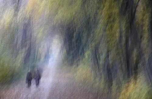 Im Englischen Garten, 2011, Photographie, Maße variabel, C-print auf Fuji Archive Papier