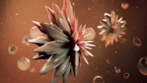 bacteria dance