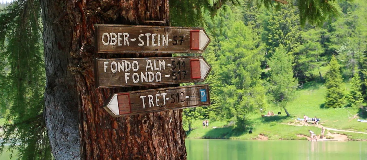 header-aktiv-kultur-felixer-weiher-see-natur.jpg