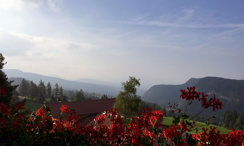 aussicht-panorama-berge-zimmer-sommer-trentino.jpg