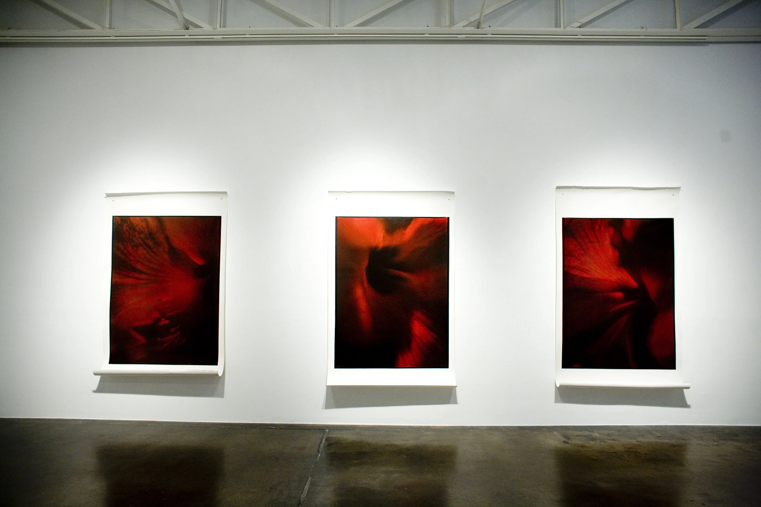 Barry Whistler Gallery Oil on silver gelatin 2008