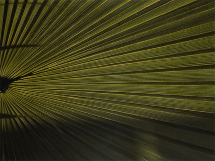 12.31.02, P.M., HOUSTON #10 49” X 64” Oil on silver gelatin 2002