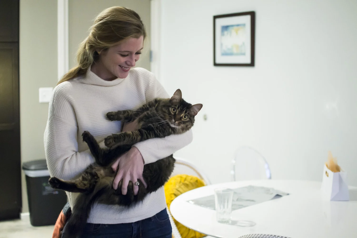 pet photographer in memphis tn.jpg