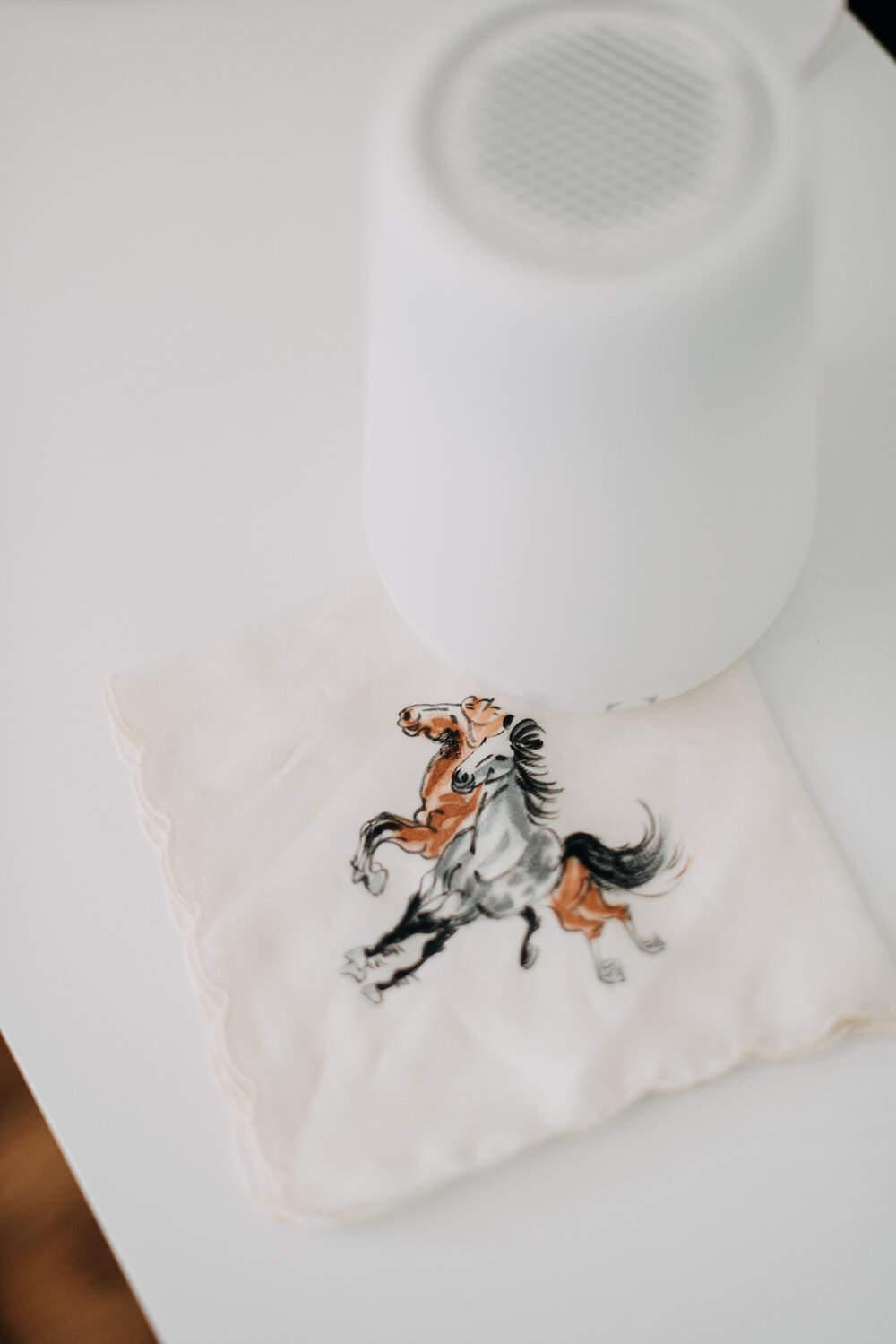 Horse handkerchief