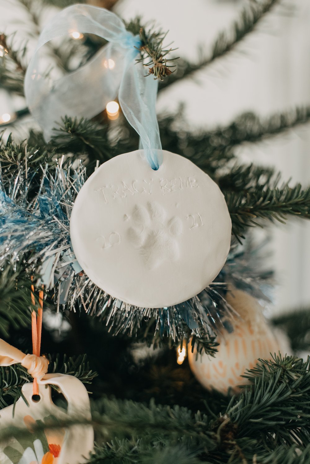Pet Paw Print Impression Ornament