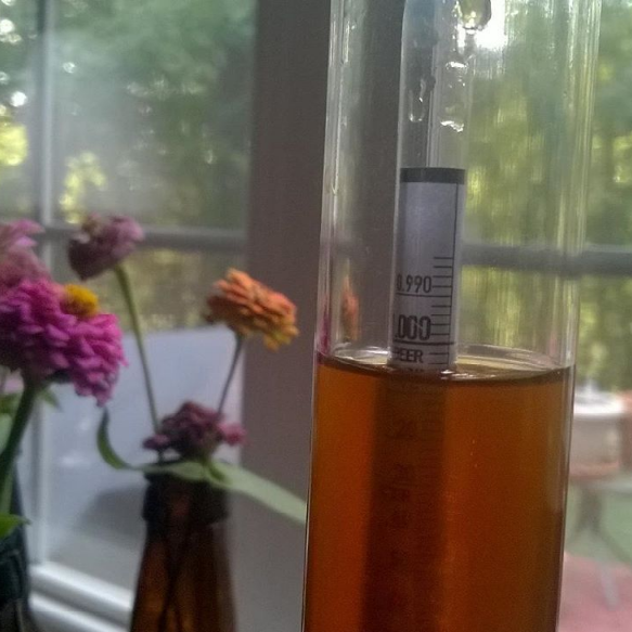 beer attenuation showing yeast fermentation and sugar conversion levels