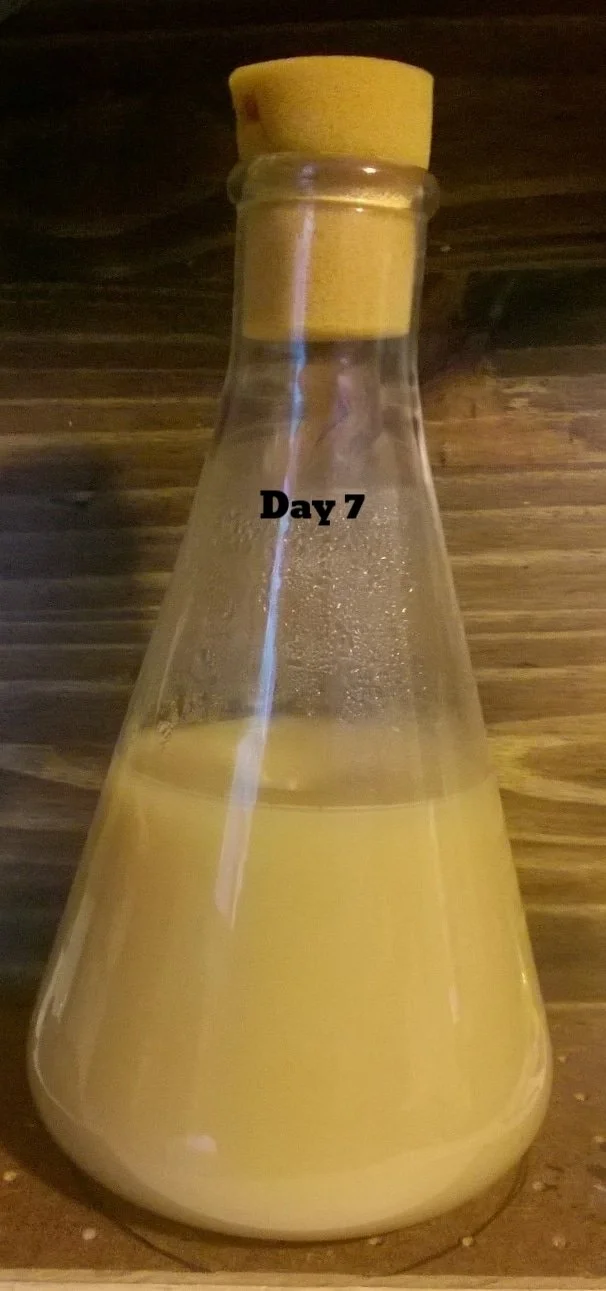USE - Brett 1 3.jpg