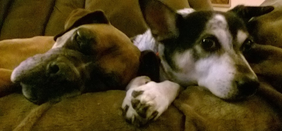 How much longer until the treats are ready?
