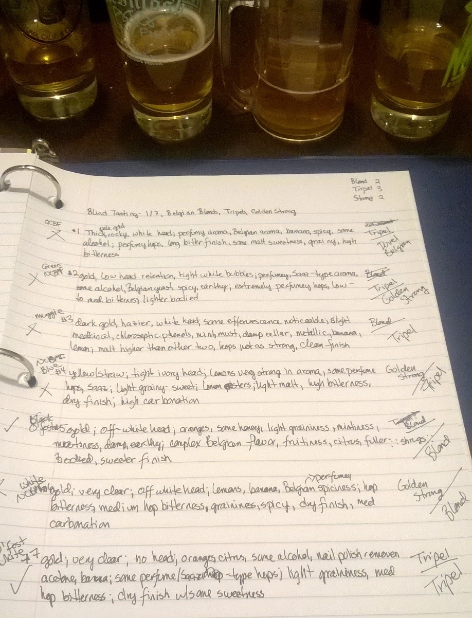 As the tasting of high gravity beers moves along, my notes become less technical and more descriptive, as my "Tripel? Blond ::shrugs::" margin notes demonstrate