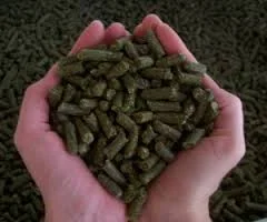 Rabbit food