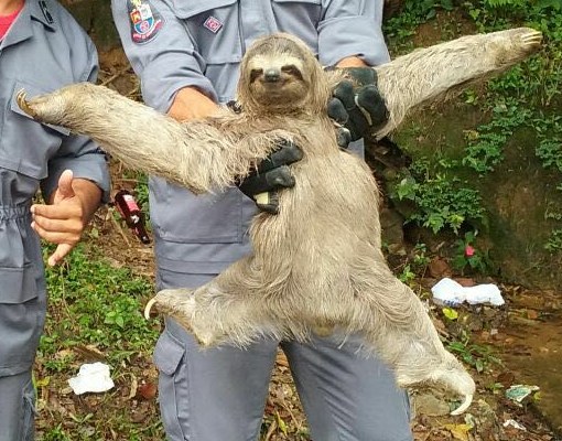 Me halfway through an eight beer flight