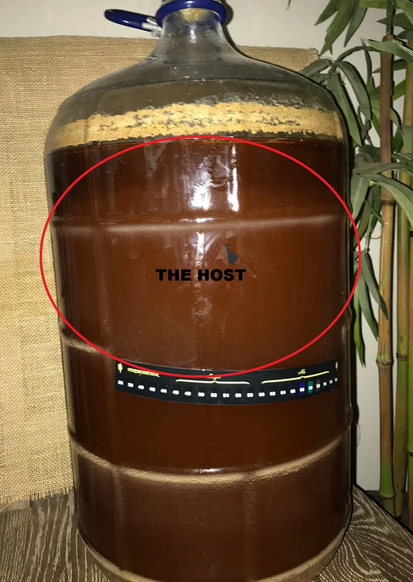 The Host