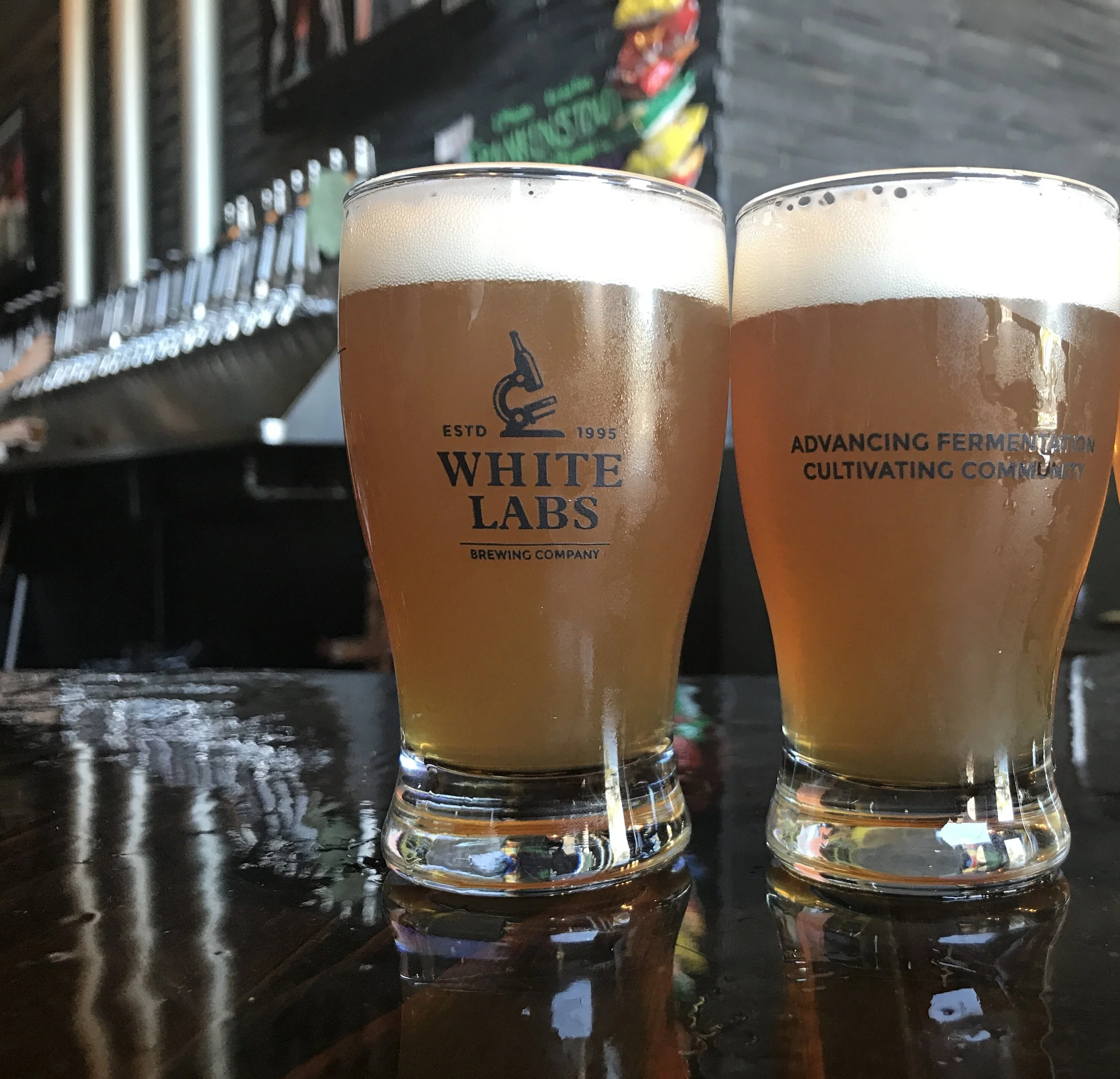 My favorite stop - White Labs Tasting Room