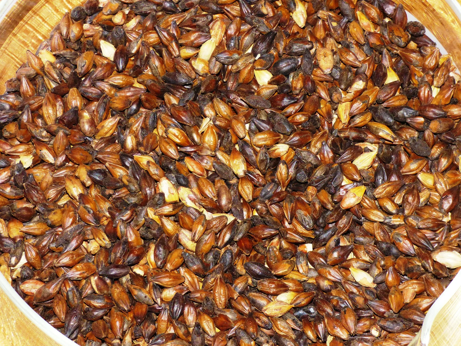 the-malt-377032_1920.jpg