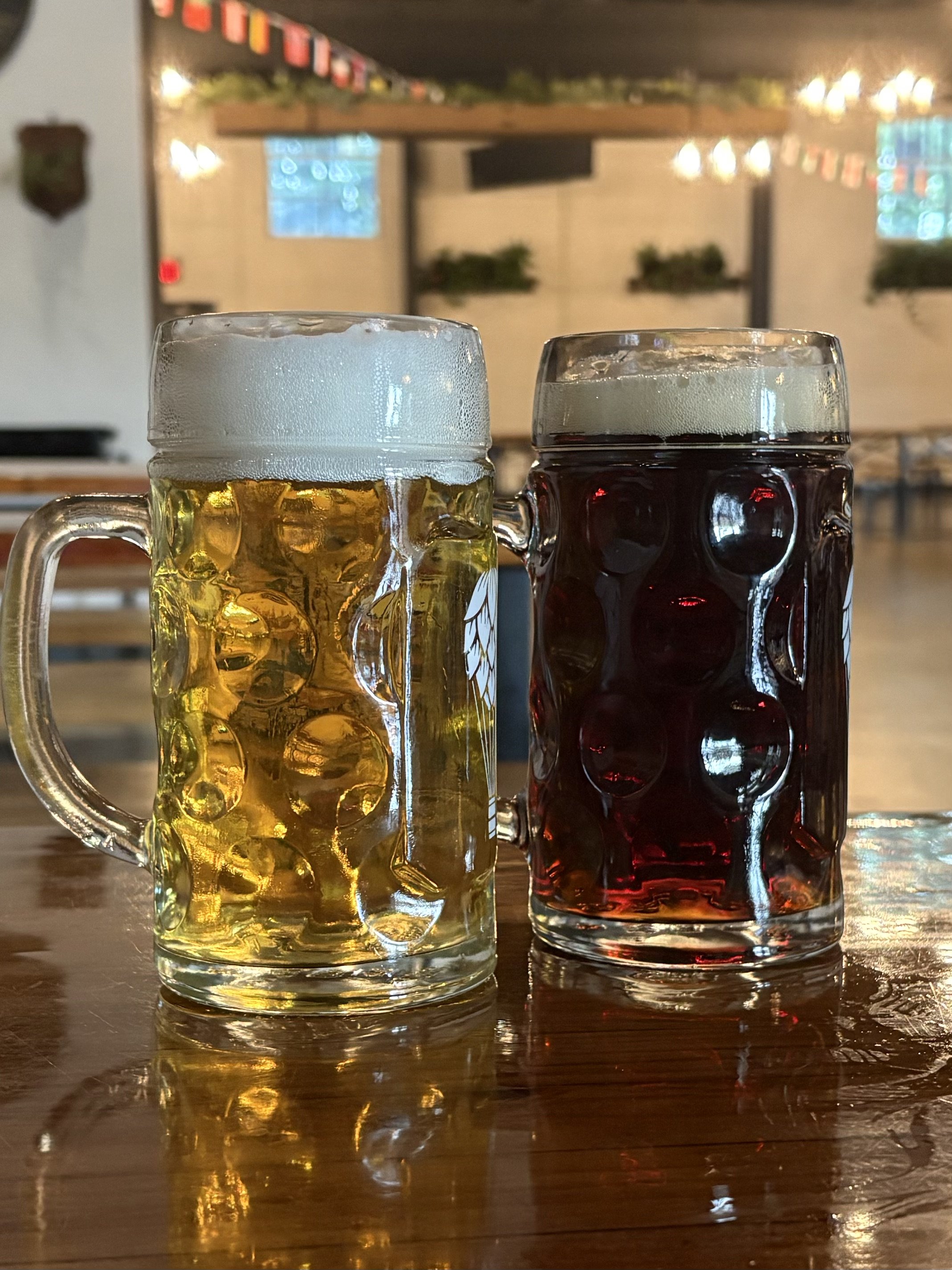 What Are IBUs in Beer? Why They Don’t Tell You How Bitter a Beer Will Taste