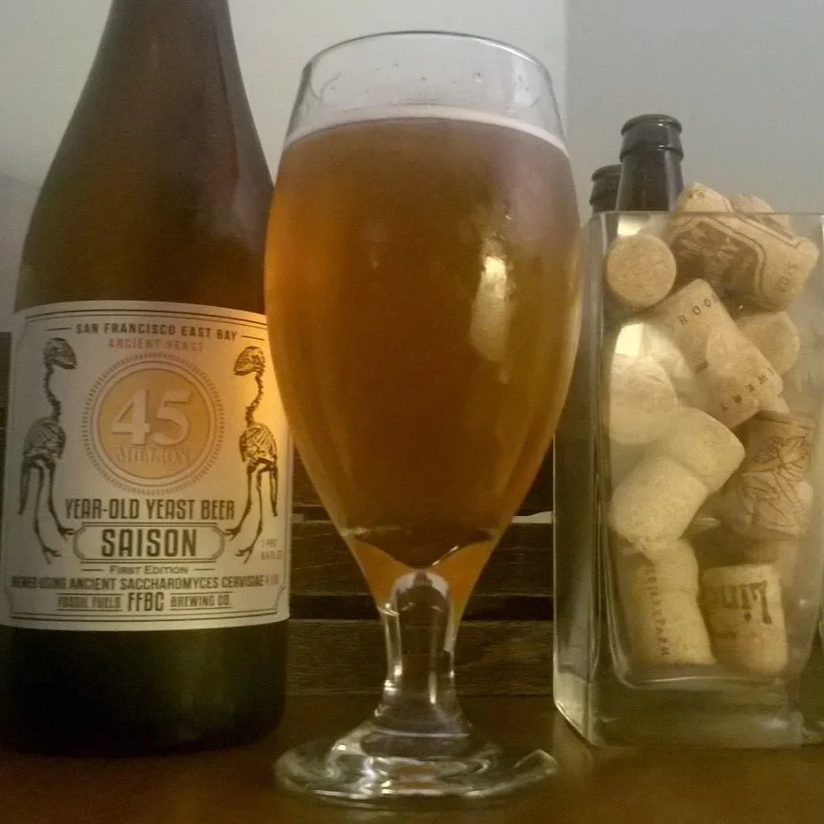 Close up of ancient yeast used to brew beer demonstrating fermentation history