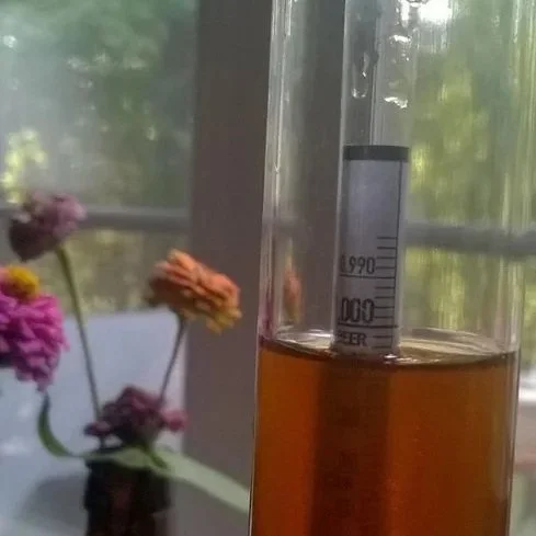 Close-up of beer attenuation showing yeast fermentation and sugar conversion levels