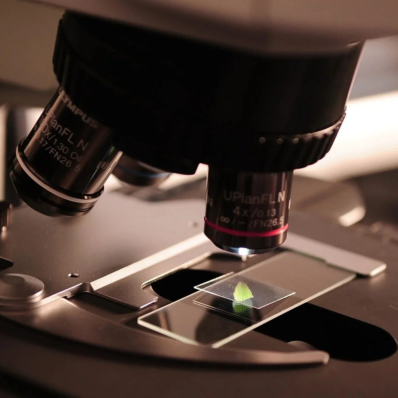 close up of microscope