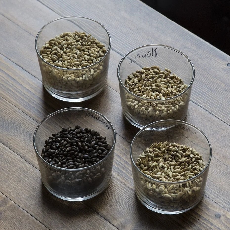 Close up four plastic cups filled halfway with malted barley types