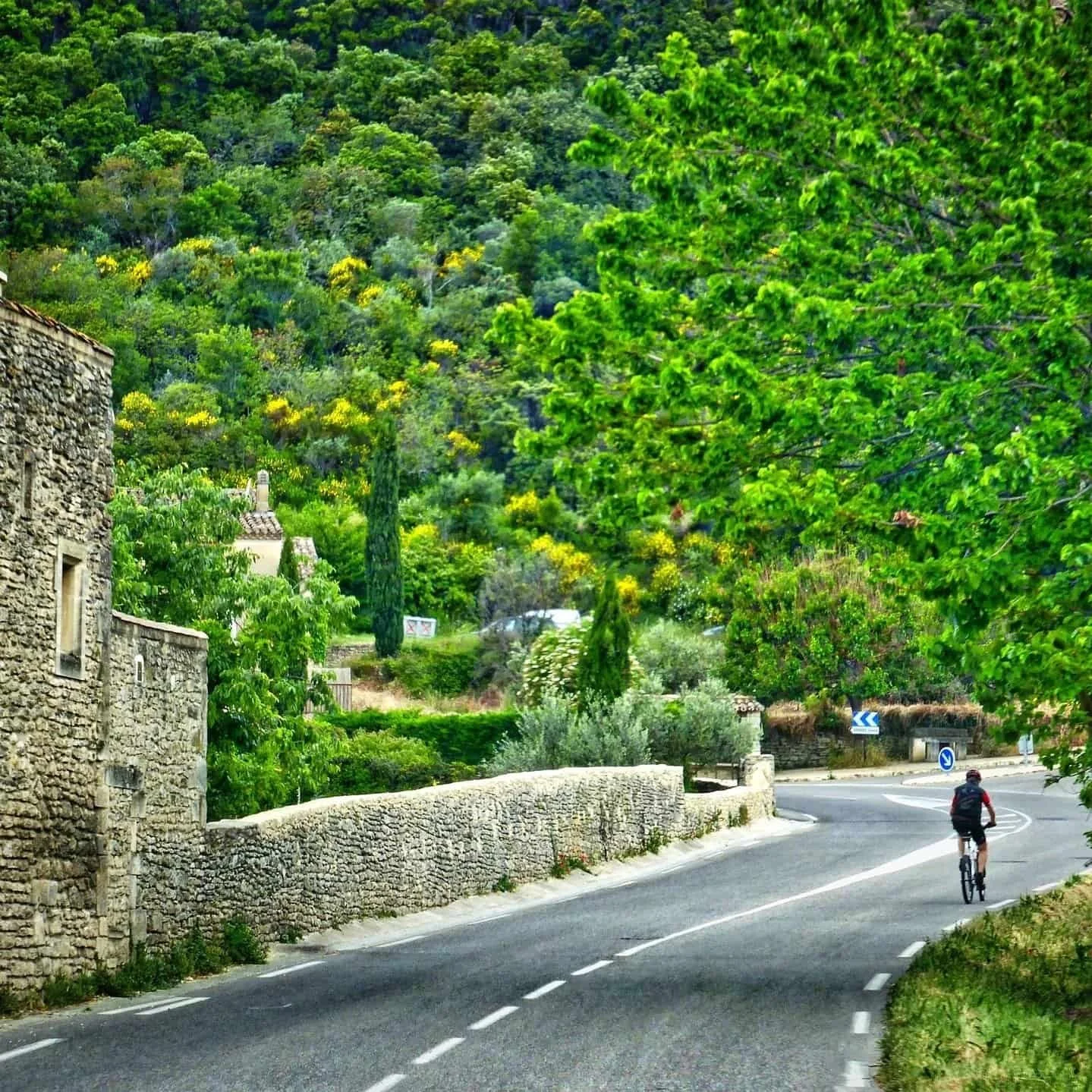 Bavarian road with cyclist and lush greenery