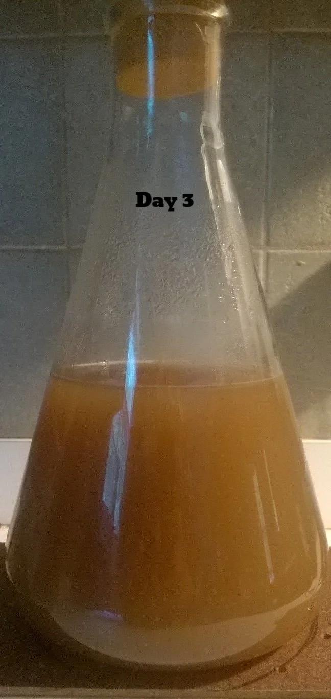 USE - Brett 1 2.jpg