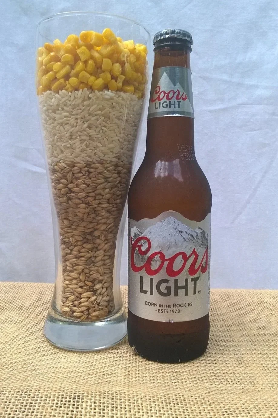 Close up of Coors Light. next to glass filled with malted barley, rice, and corn