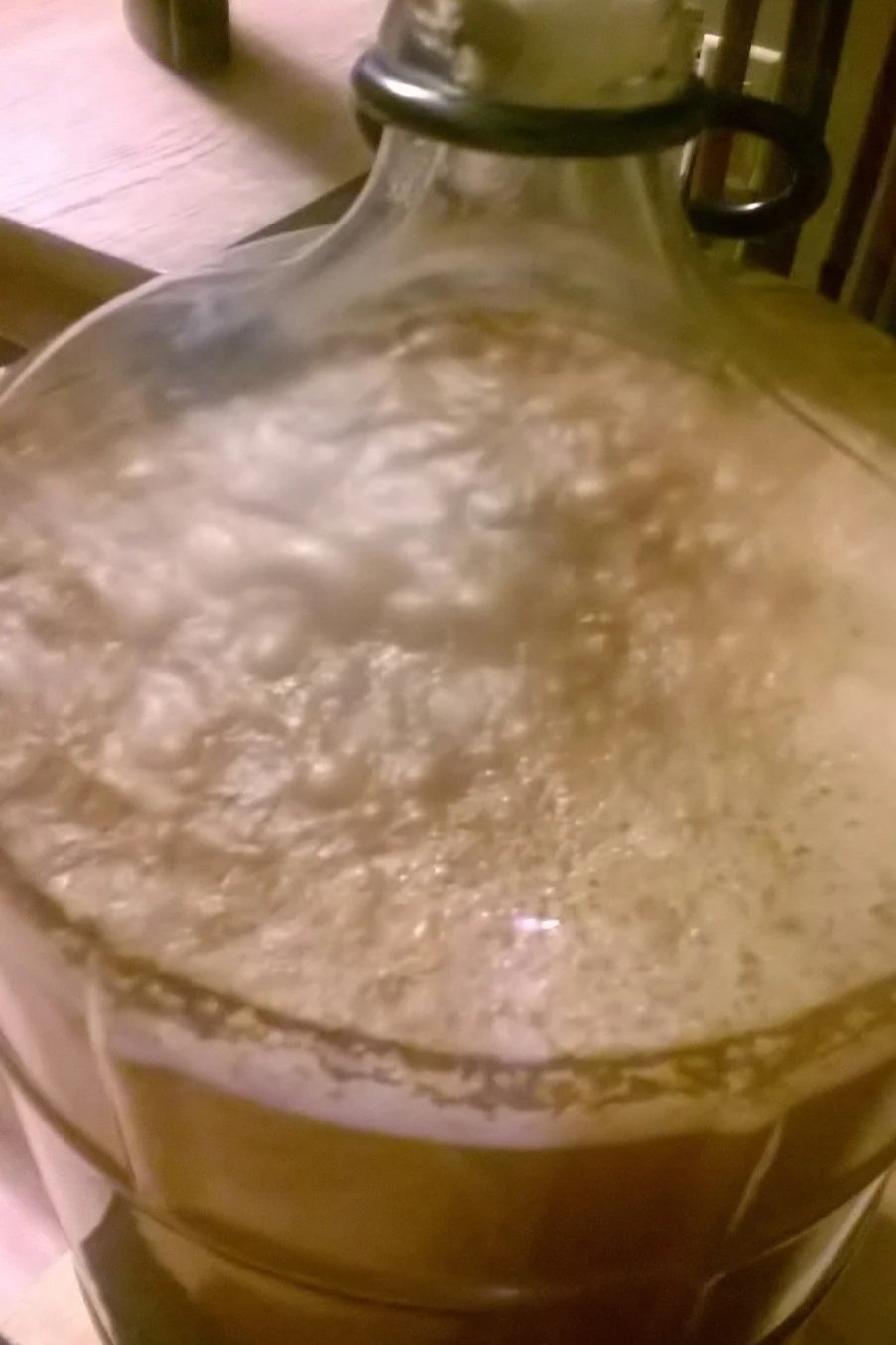 wild yeast fermentation process in homebrewing