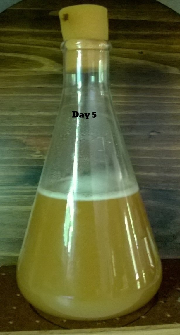 USE - Brett 1 1.jpg