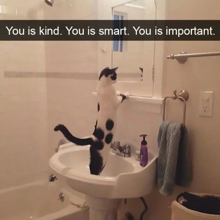 black and white cat standing in bathroom sink looking at its reflection in a mirror with caption You is kind. You is smart. You is important.