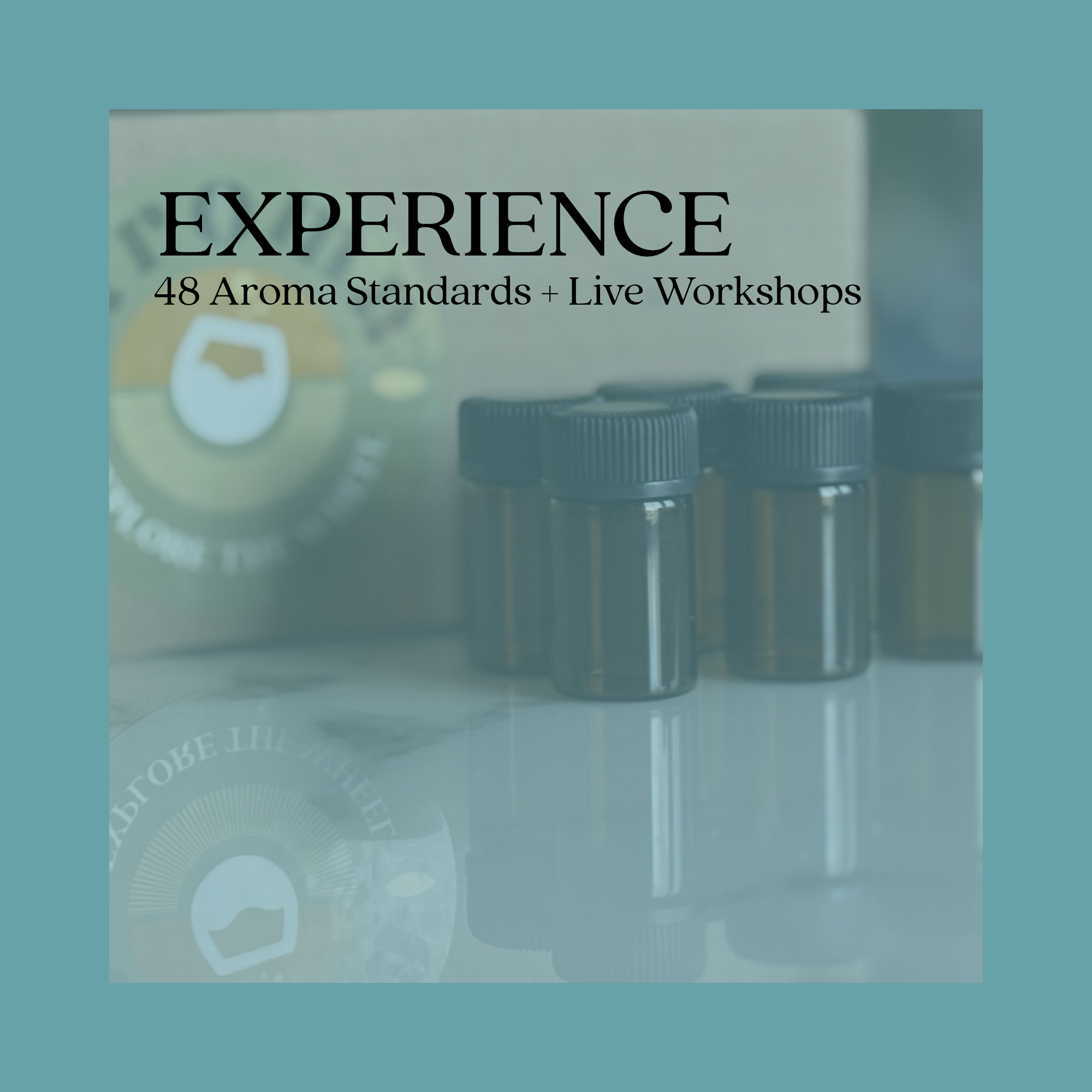 2027 Year of Aroma - Sensory Experience
