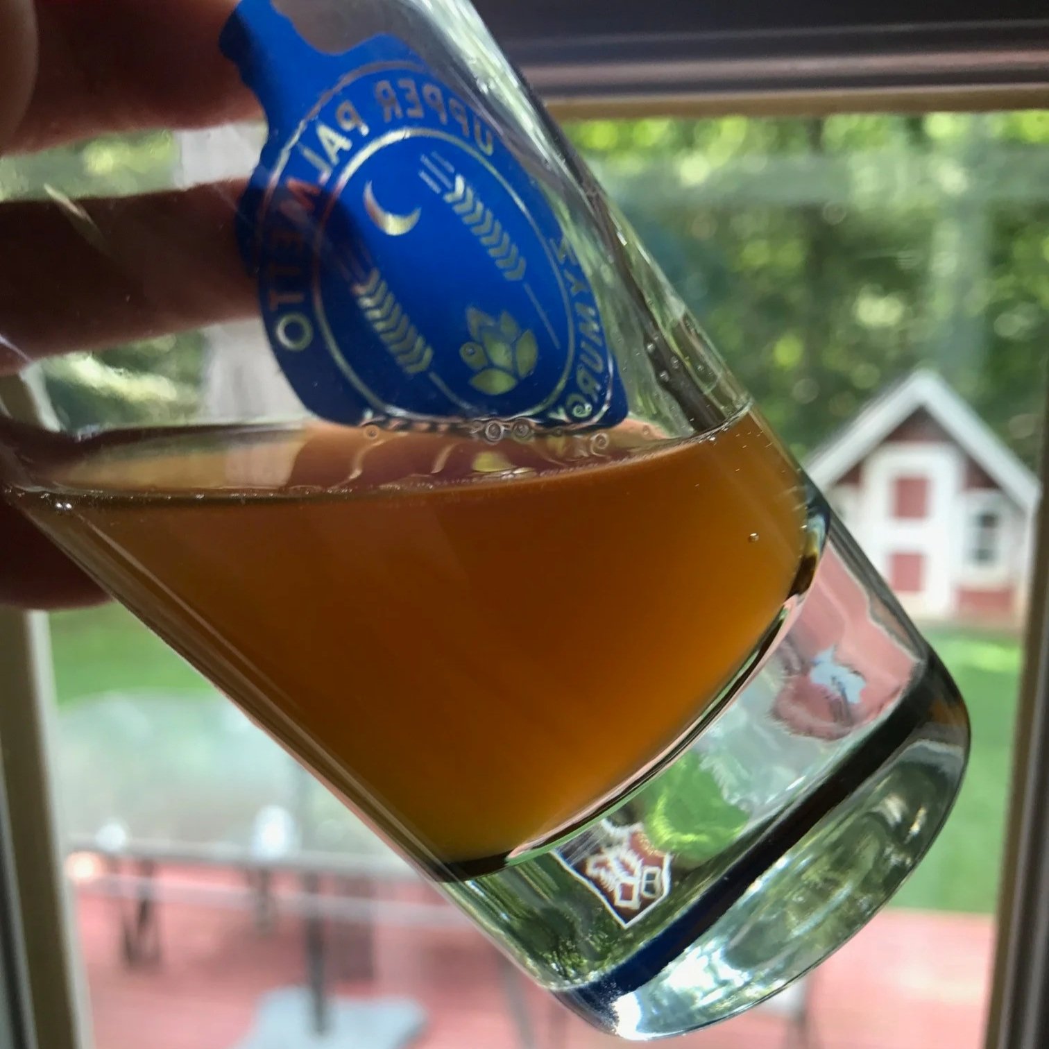 Close up of brettanomyces yeast fermentation creating funky beer flavors