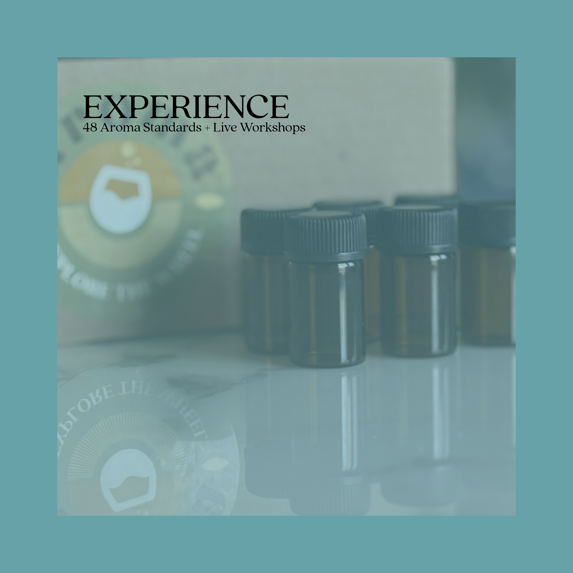 Year of Aroma - Experience.png